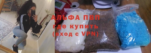 PSILOCYBIN Лихославль