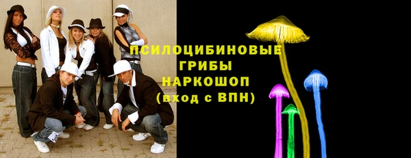 PSILOCYBIN Лихославль