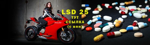 PSILOCYBIN Лихославль