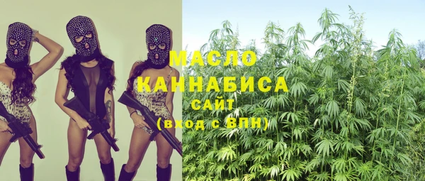 стаф Заполярный