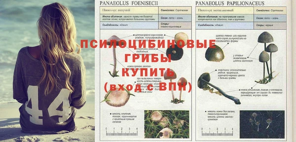 PSILOCYBIN Лихославль