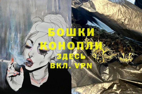 PSILOCYBIN Лихославль