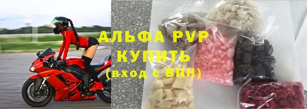PSILOCYBIN Лихославль