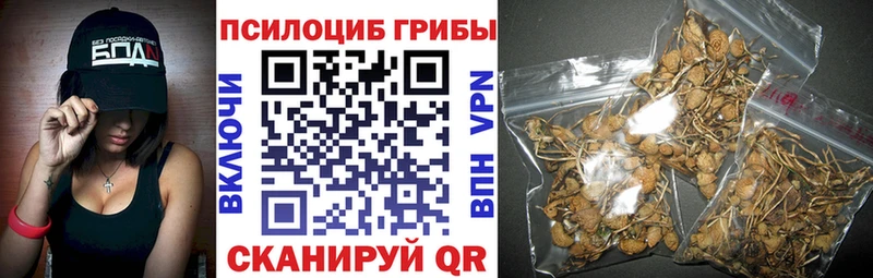 Галлюциногенные грибы ЛСД  Мариинск 