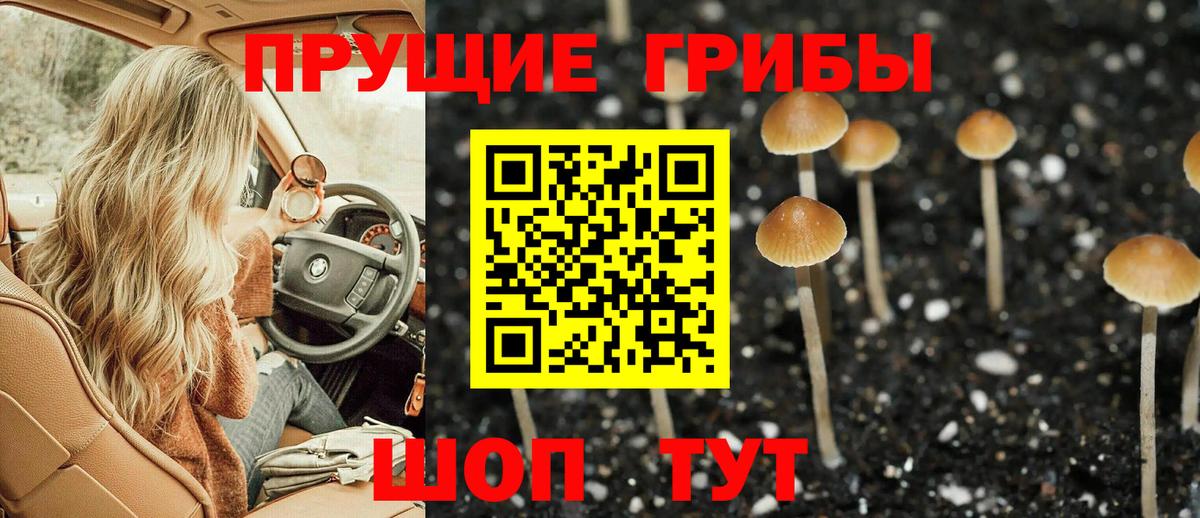 Мариинск  Псилоцибиновые грибы GOLDEN TEACHER  Вход с VPN 