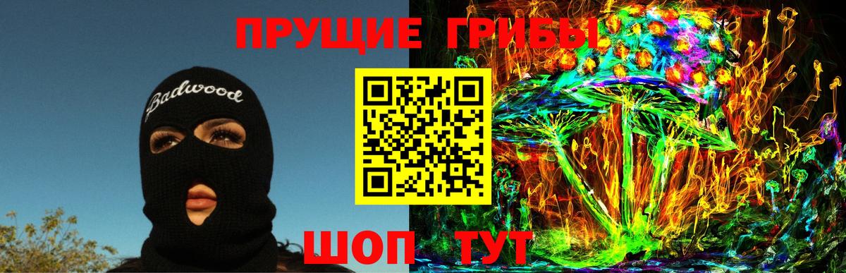 Галлюциногенные грибы Psilocybine cubensis  Мариинск 